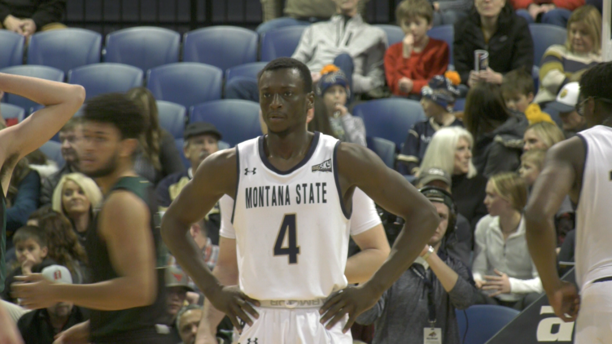 Sacramento State Hornets at Montana State Bobcats Mens Basketball at Brick Breeden Fieldhouse