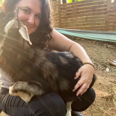 Megan Kibby, Red Wagon Goats