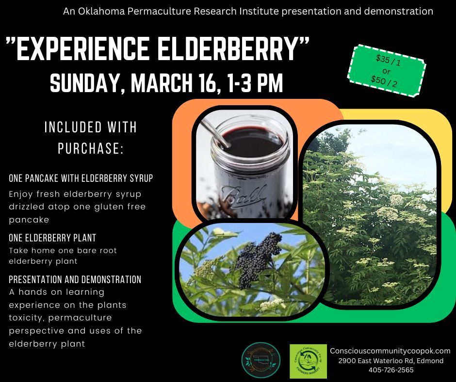 Experience Elderberry