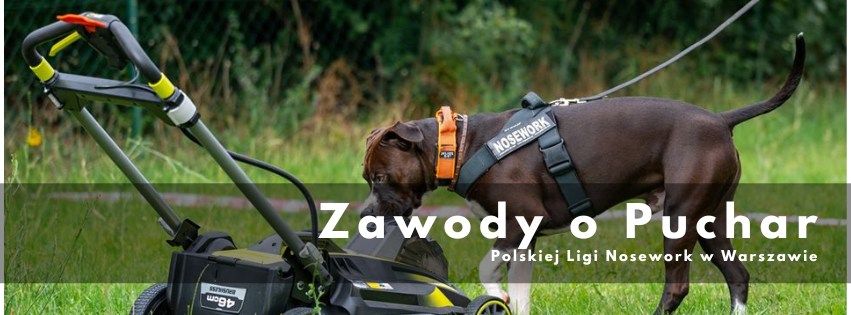 Zawody o Puchar Polskiej Ligi Nosework w Warszawie