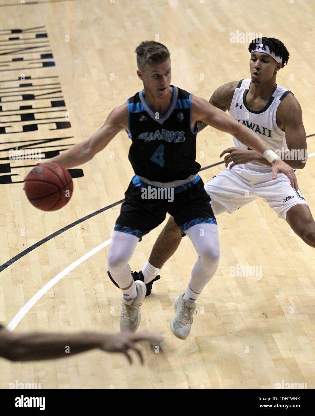 Hawaii Rainbow Warriors vs. Hawaii Pacific Sharks