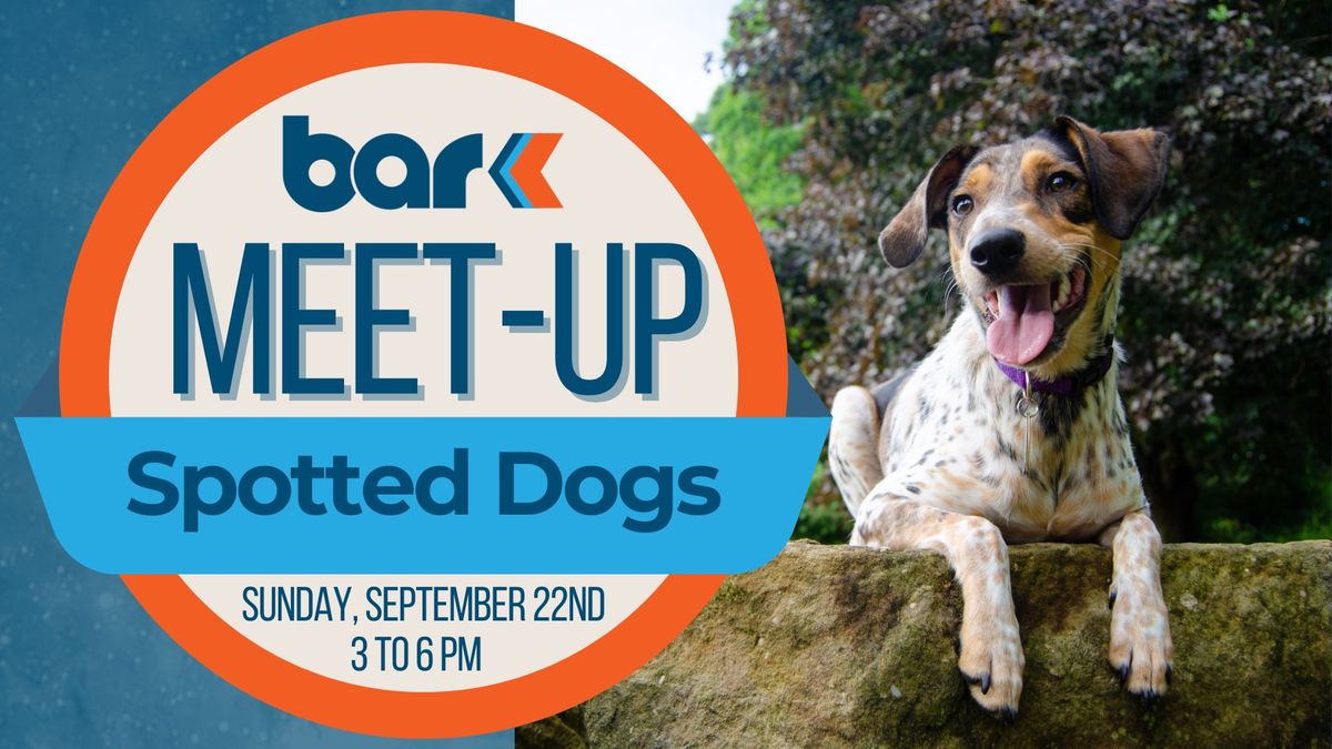 Breed Meet-up: Spotted Dogs