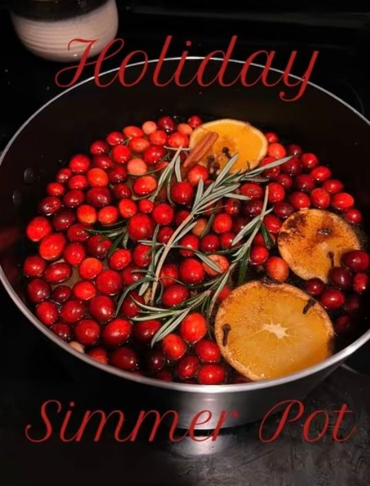 Holiday Simmer Pot Kit (Adults)