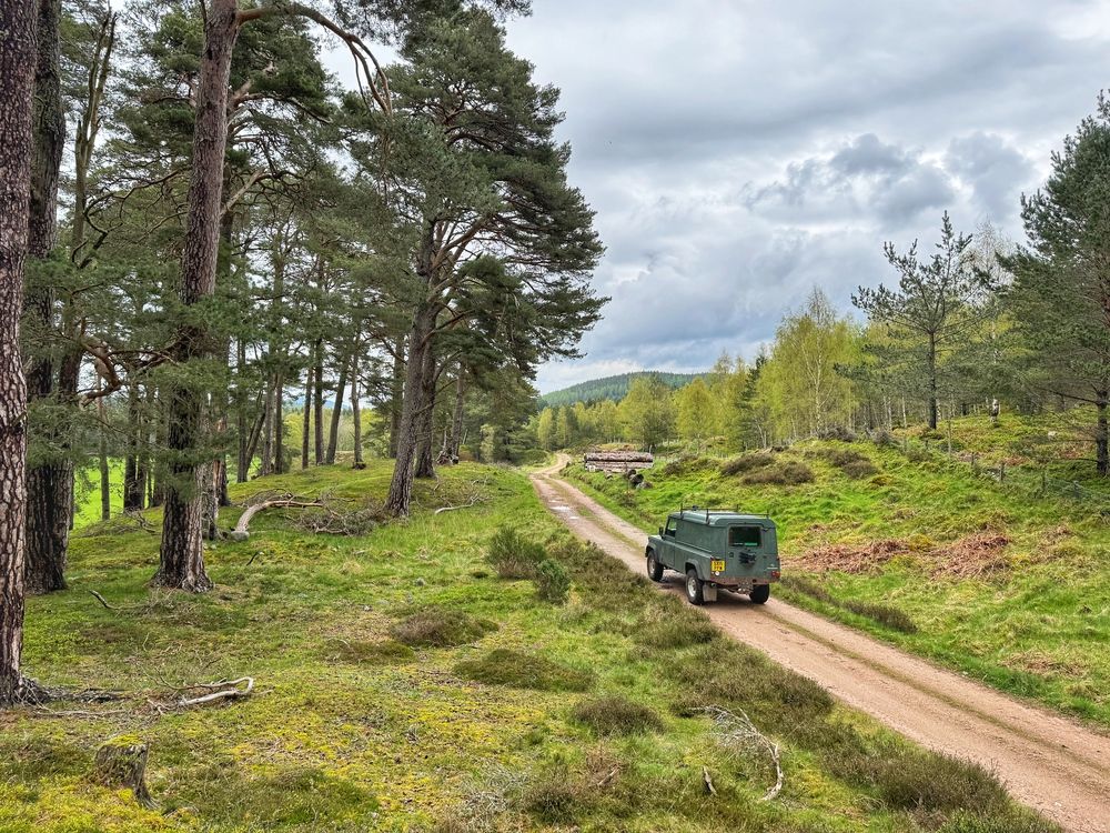 Glen Tanar Trail Running Festival 15km race