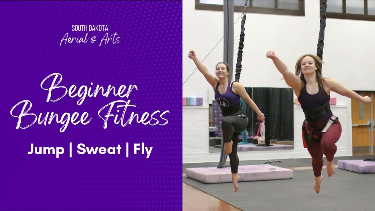 $15 Bungee Fitness Class at South Dakota Aerial & Arts