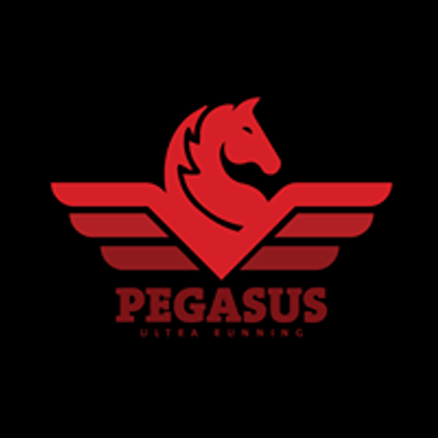 Pegasus Ultra Running