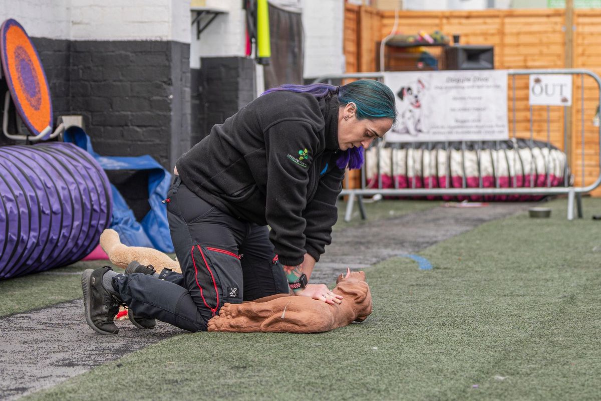 Canine First Aid Course 