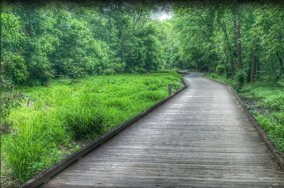 North Carolina-Charlotte McMullen Creek Greenway evening weeknight hike-easy and pet friendly