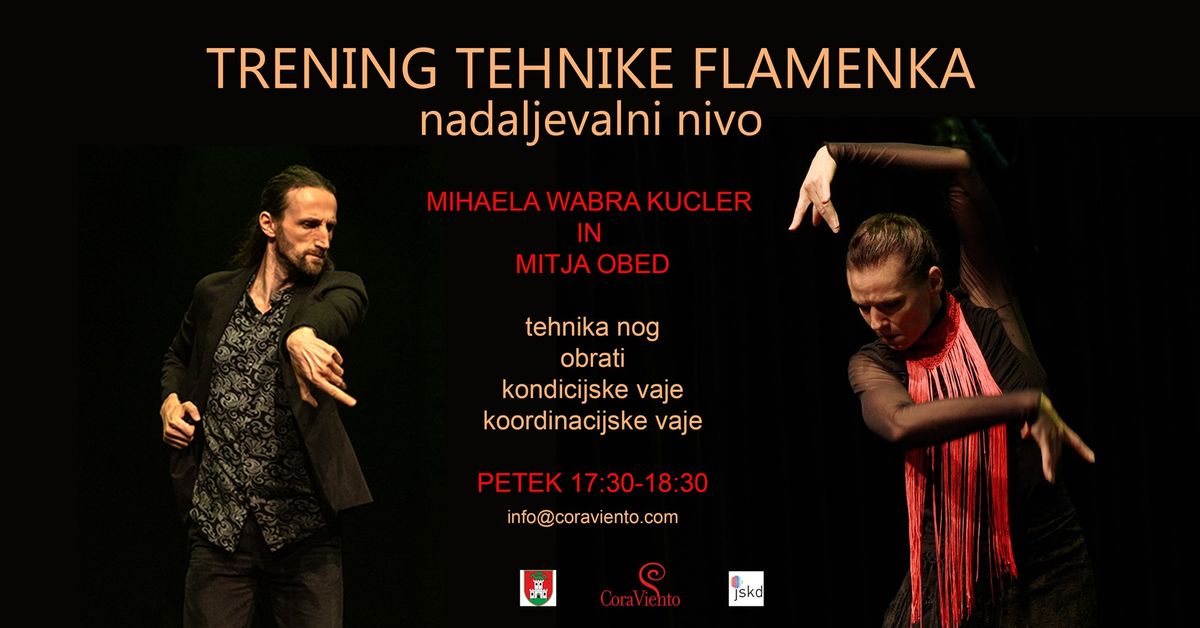 Trening tehnike flamenka - nadaljevalni nivo - NOVO!!!