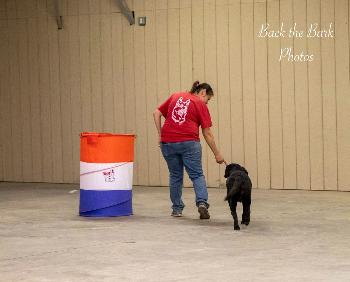   Two Rodeo Dog Trials