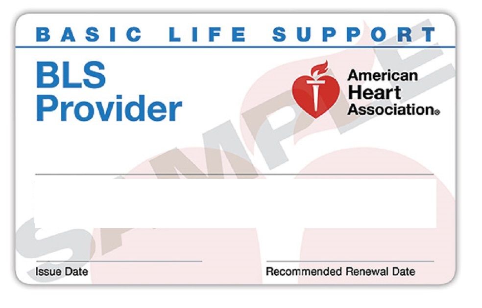 BLS for the Health Care Provider \u2013 10\/21\/24