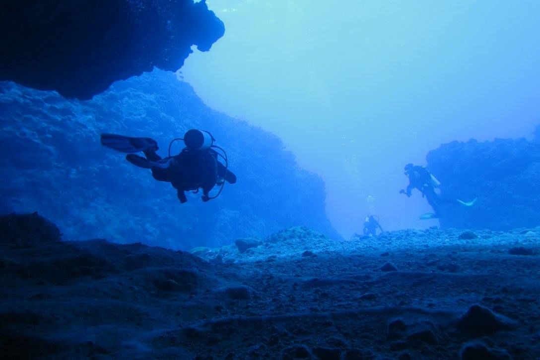 SeaWolves Dive Day invitation for divers - The Bluff