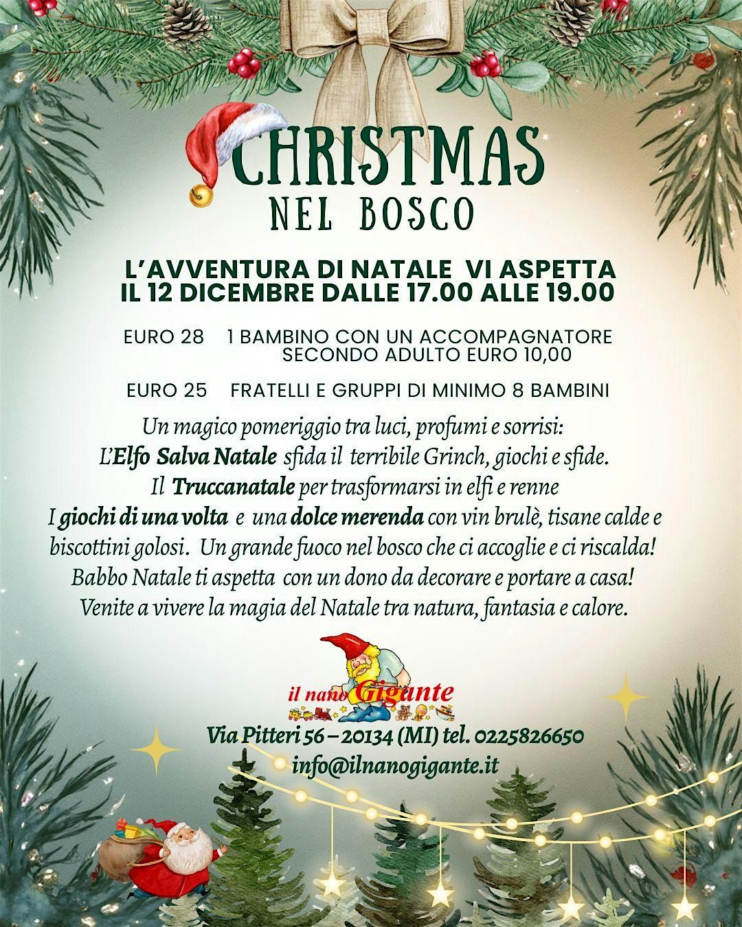 Christmas nel bosco