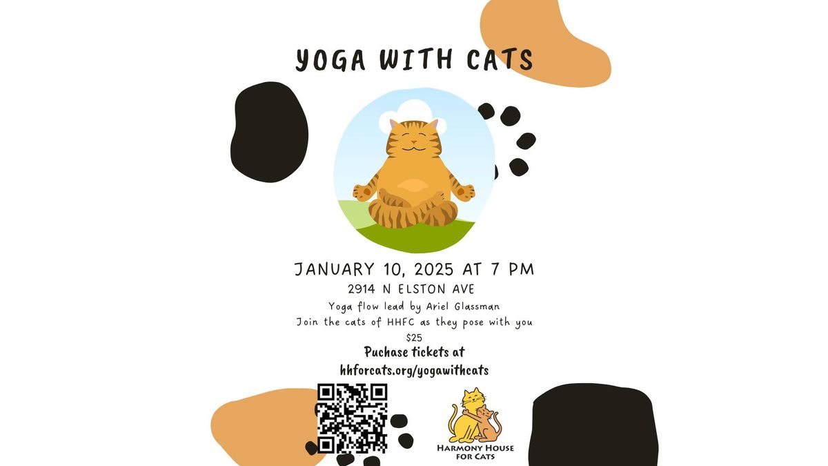 Yoga with Cats!