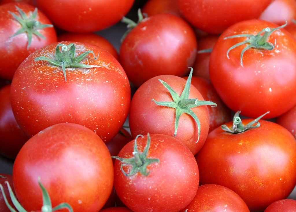 Home Grown Tomatoes