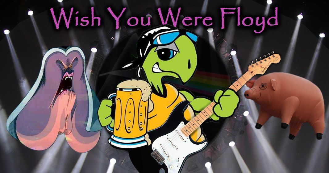 Wish You Were Floyd at the Tipsy Turtle