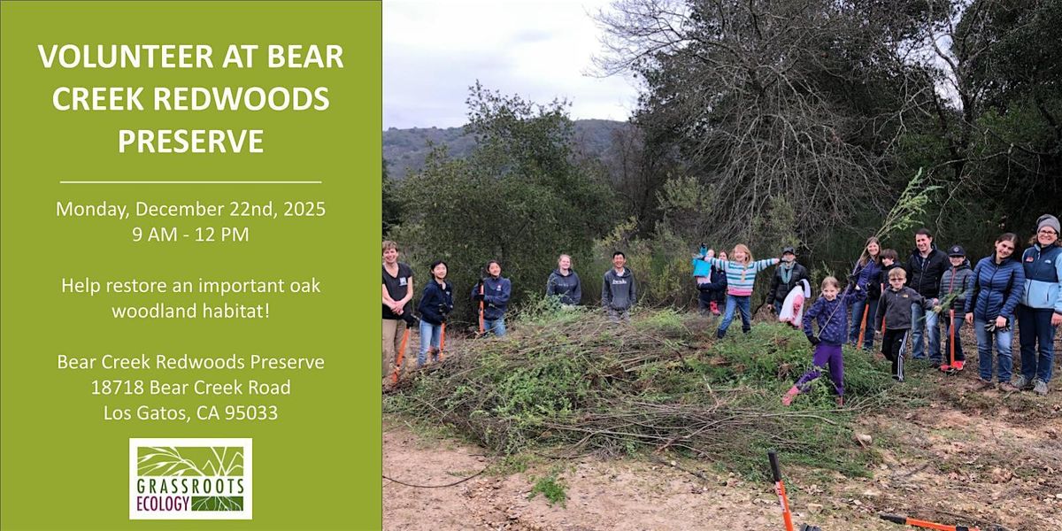 Volunteer Outdoors in Los Gatos at Bear Creek Redwoods