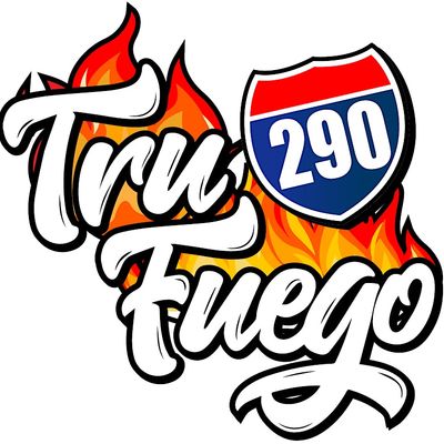 Tru Fuego290 LLC