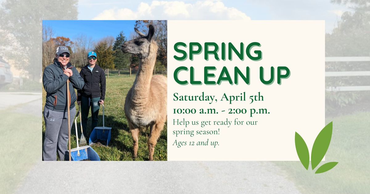 Spring Clean Up