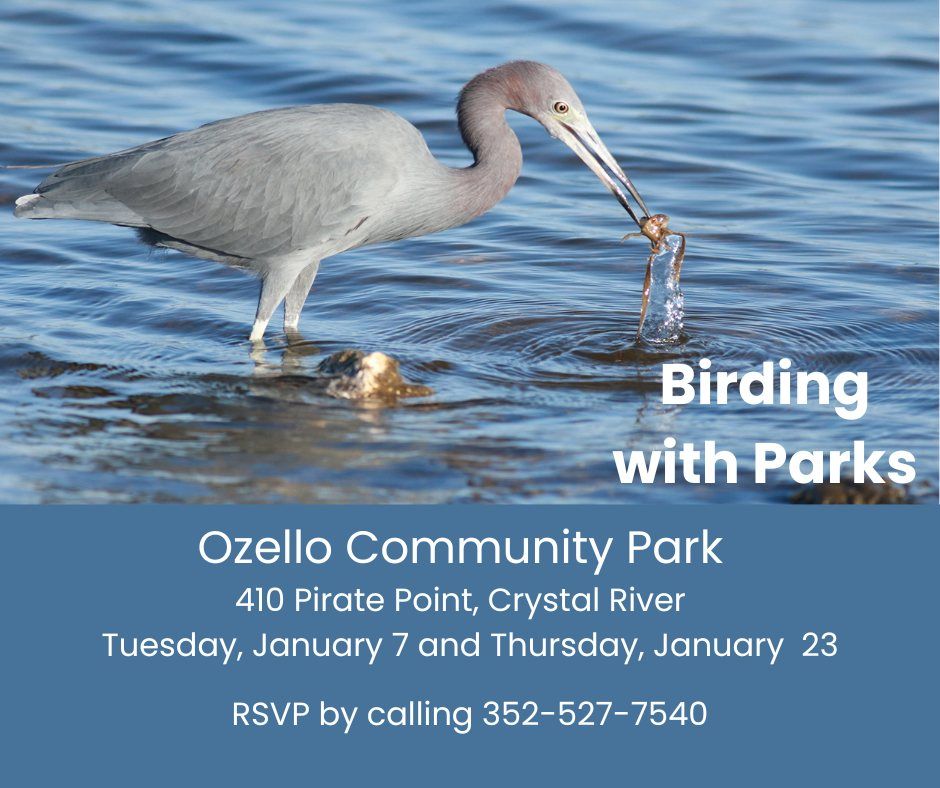 Birding with Parks ~ Ozello Community Park 