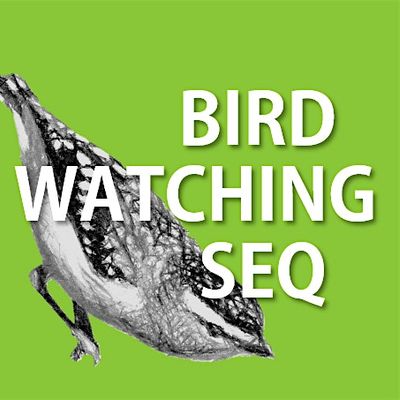 Bird Watching South-East Qld