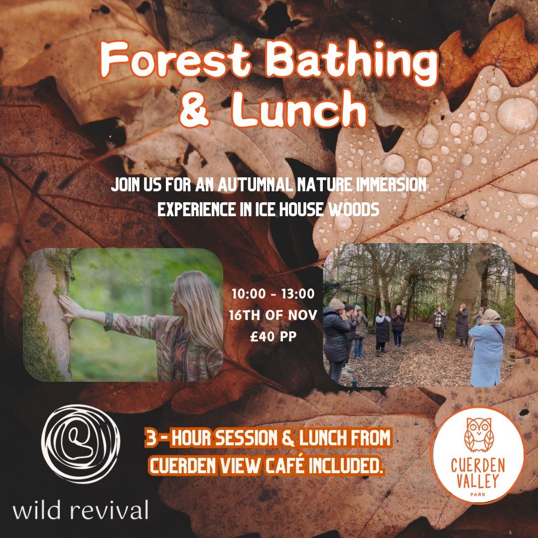 Autumnal Forest Bathing & Lunch  