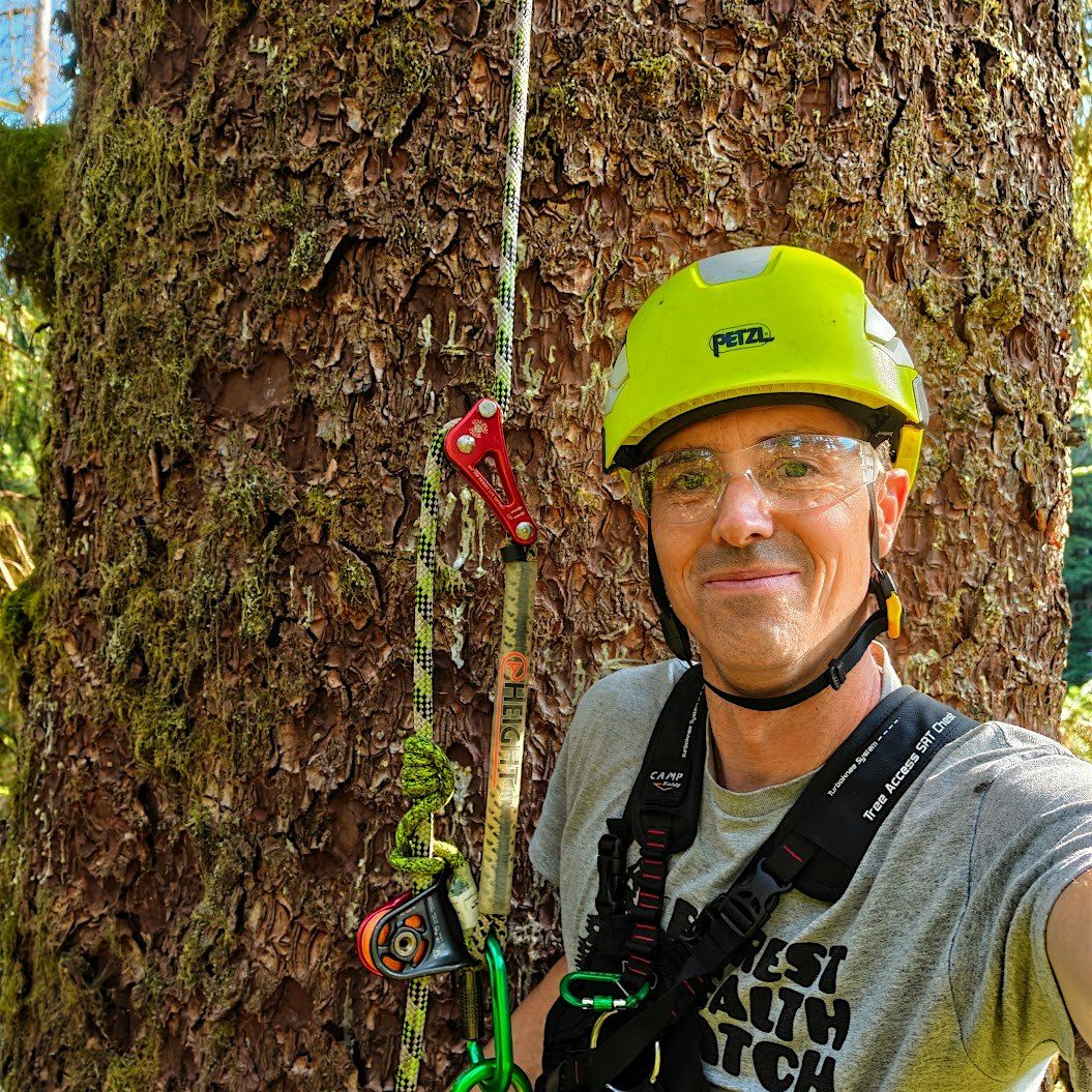 Mature Fruit Tree Restoration and Enhancement