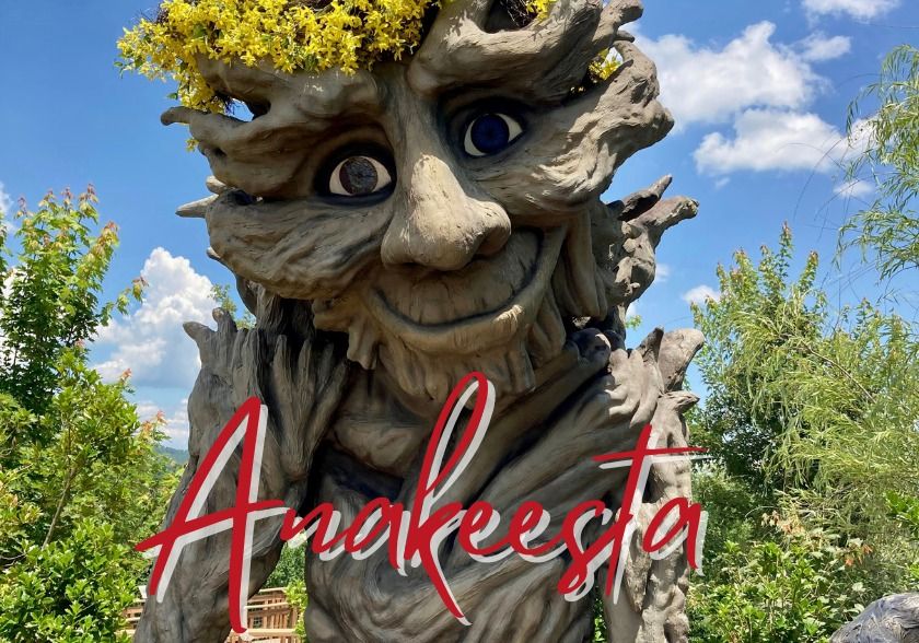 Anakeesta - A Journey into the Enchanted Forest