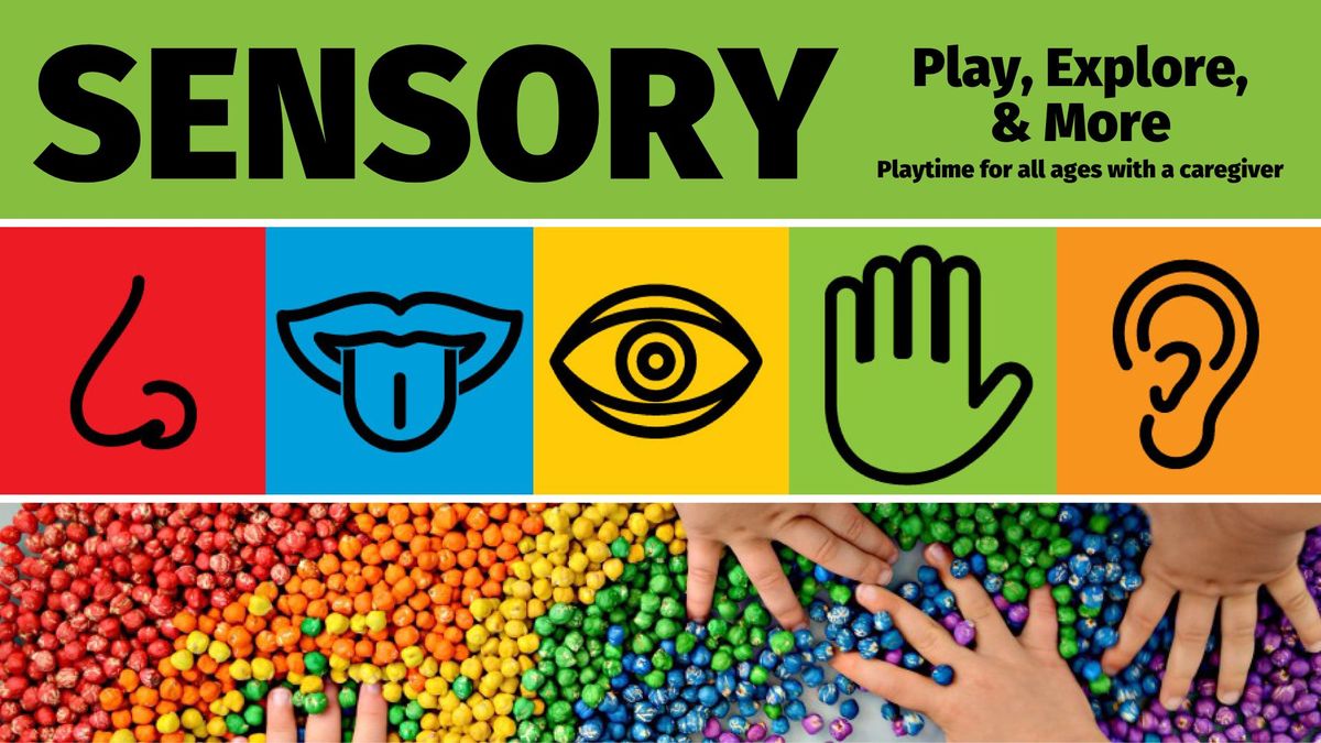 Sensory Play Explore and More