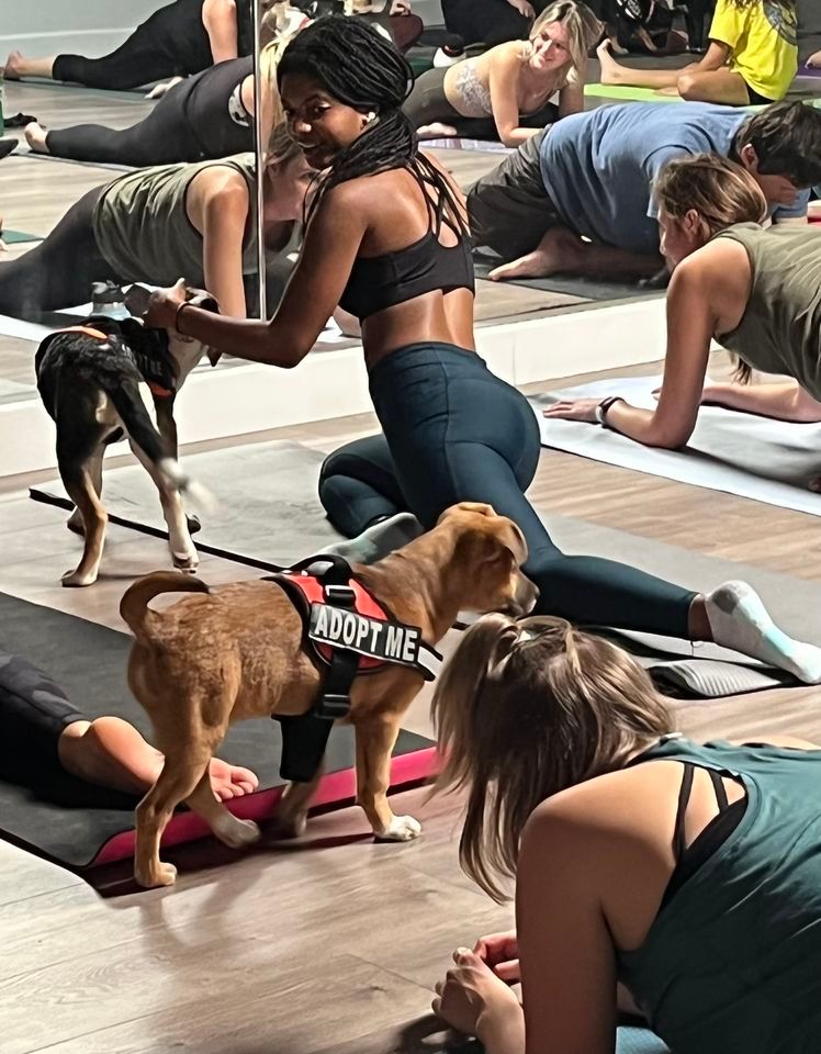 Puppy Yoga Class