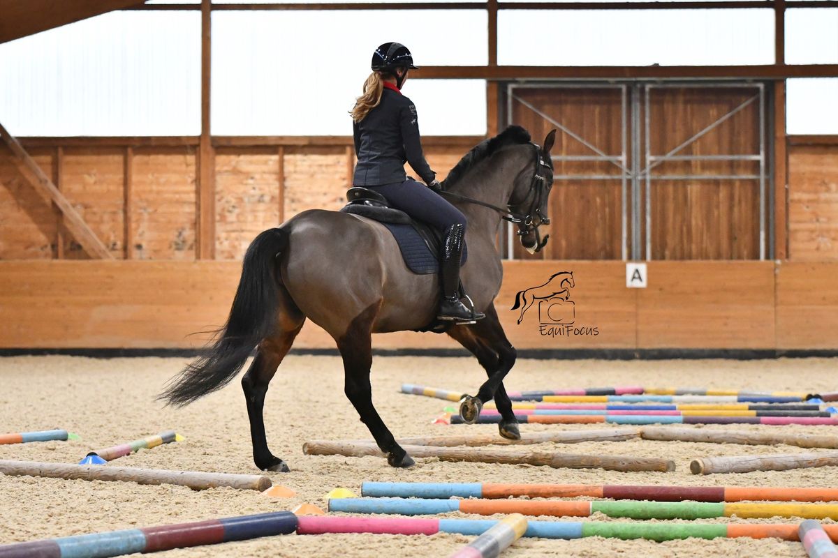 Polework clinic at Abbey Farm Dressage