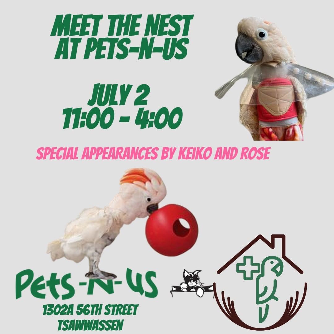 Meet the Nest @ Pets-N-Us Tsawwassen!