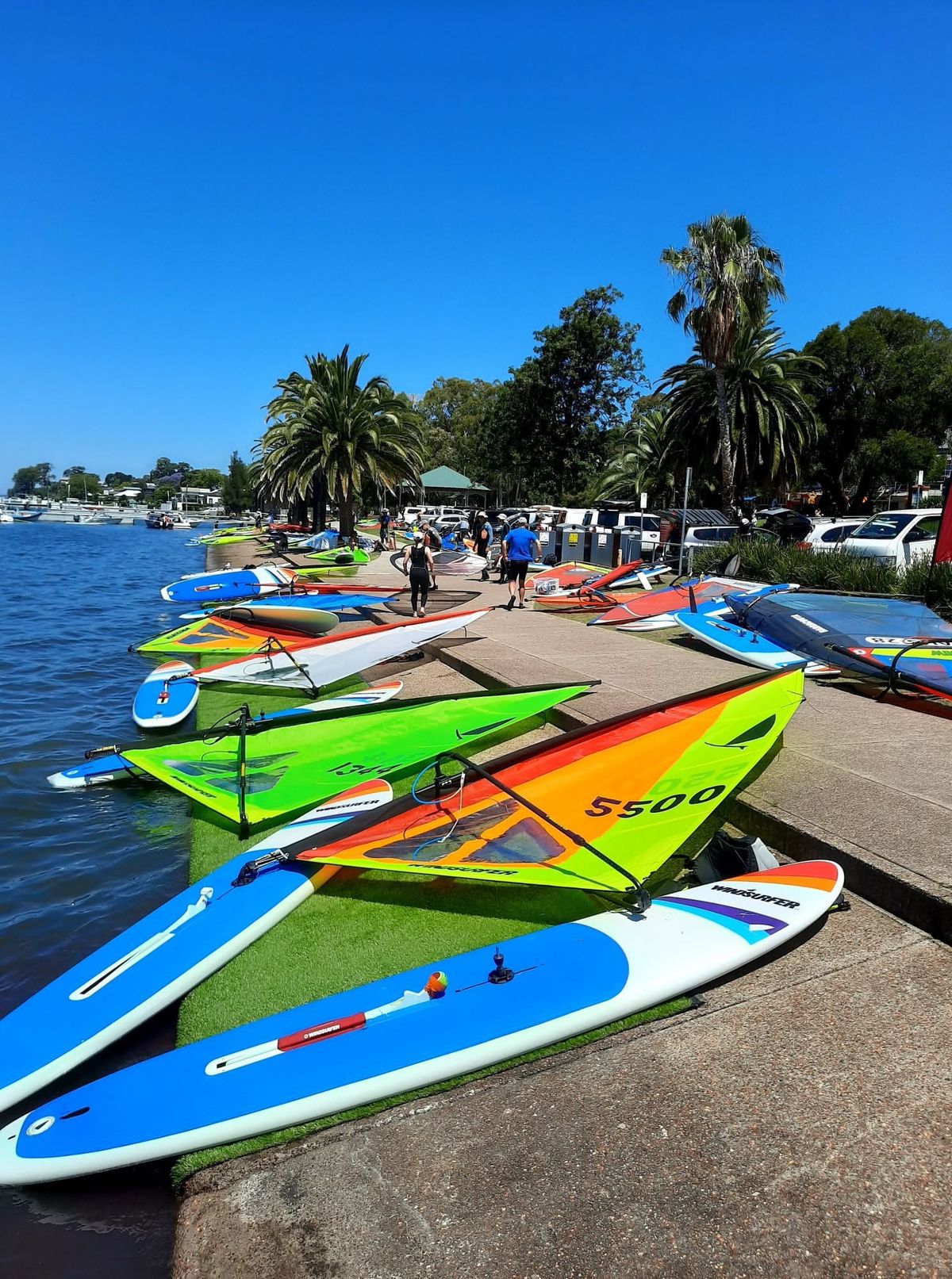 Learn to Windsurf.  Small group lessons, 6 week course on Sundays $250