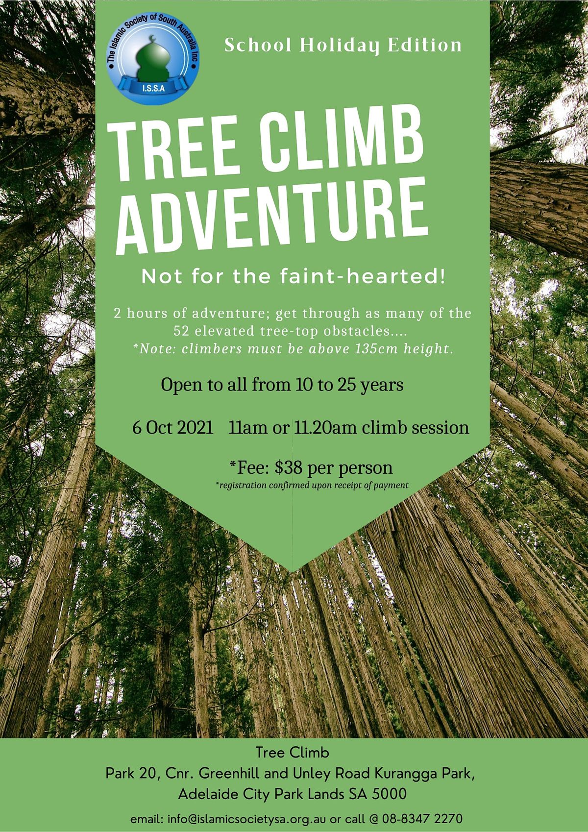 Tree Climb Adventure