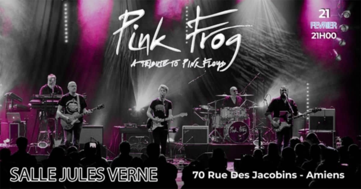 Pink Frog, 15 ans