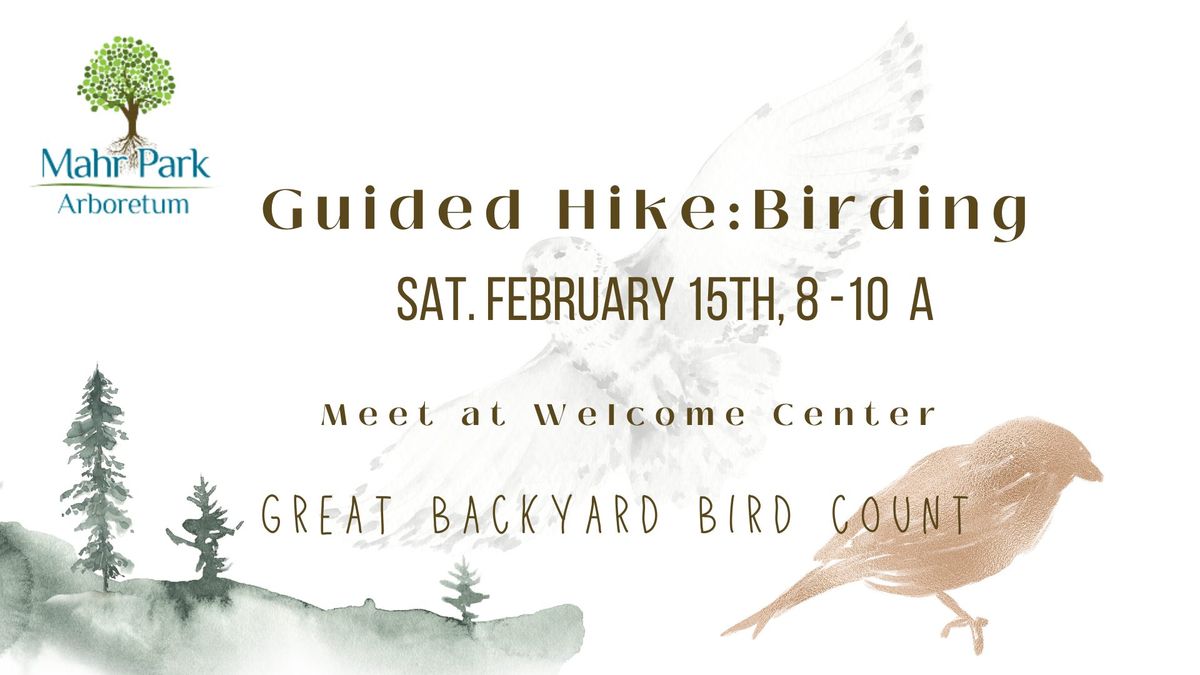 Guided Hike: Birding