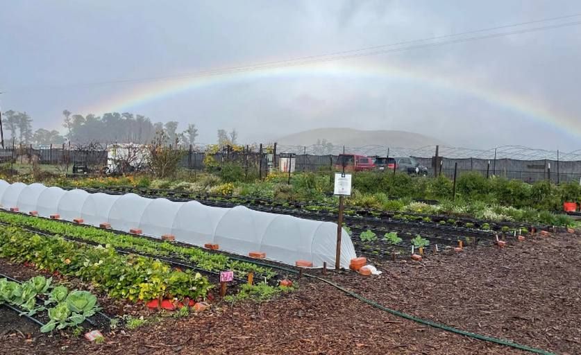 Event Invitation: Tour the Santa Lucia Sierra Club's Global Family Farm