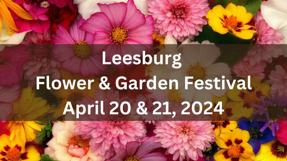 Leesburg Flower & Garden Festival , Historic Downtown Leesburg, 21