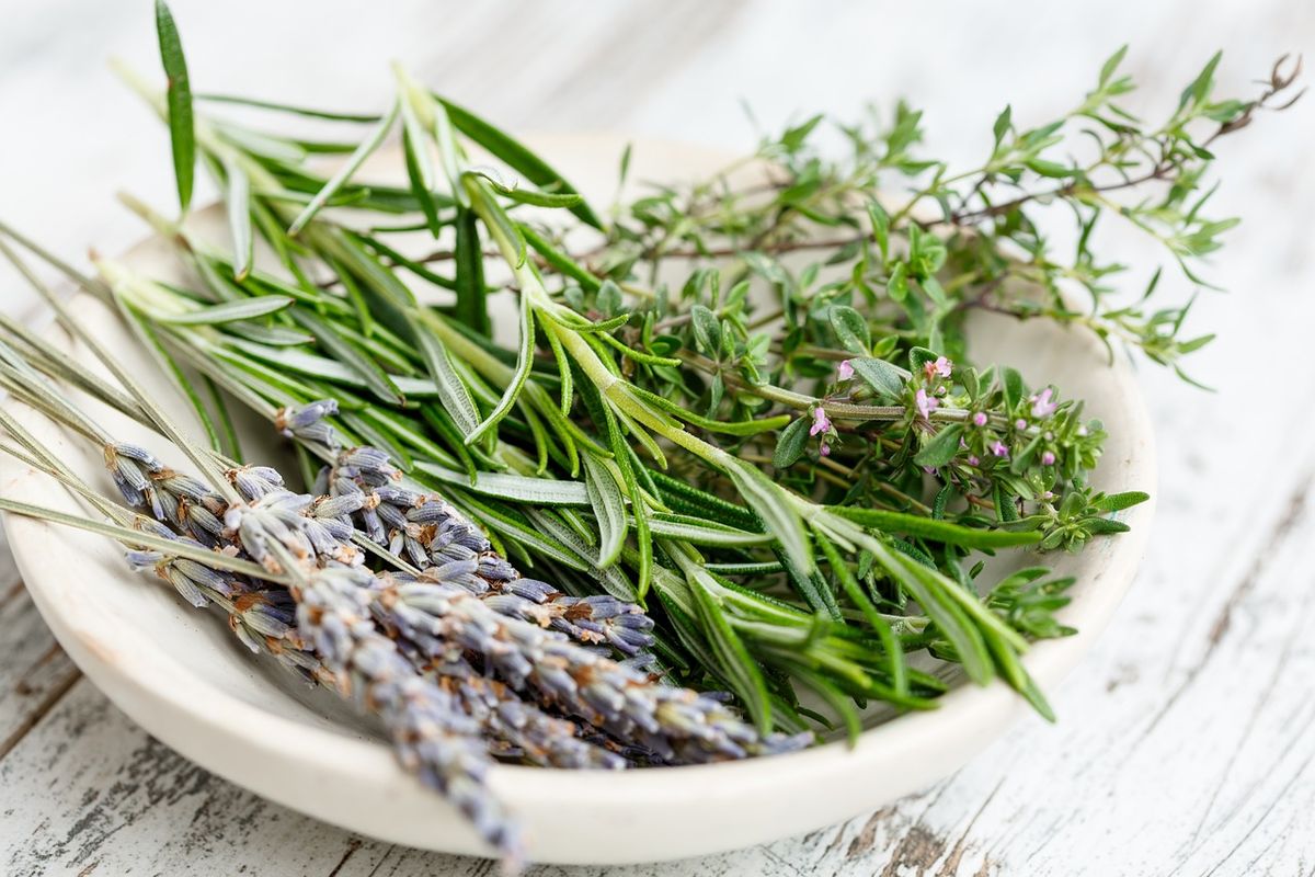 Herbalicious Cooking: Mastering Fresh Herbs In The Kitchen