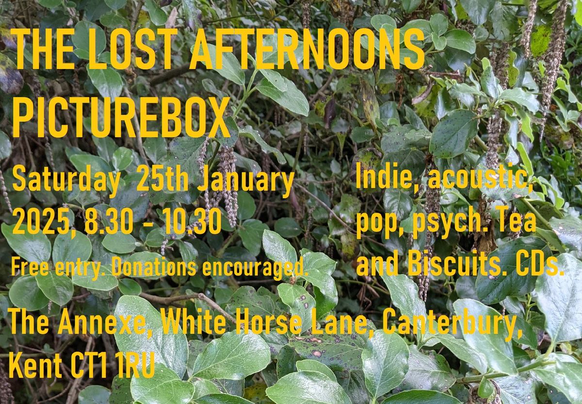 The Lost Afternoons & Picturebox