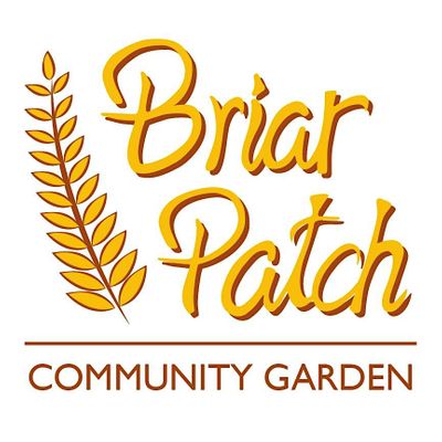 Briarpatch Team