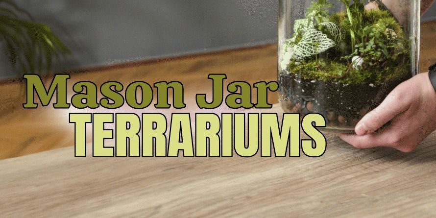 Create Mason Jar Terrariums