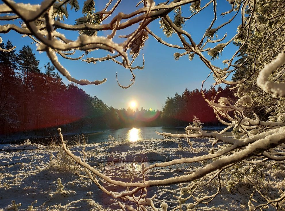 Tammikuun luonto- ja saunaretki Tilaa nelj\u00e4lle!