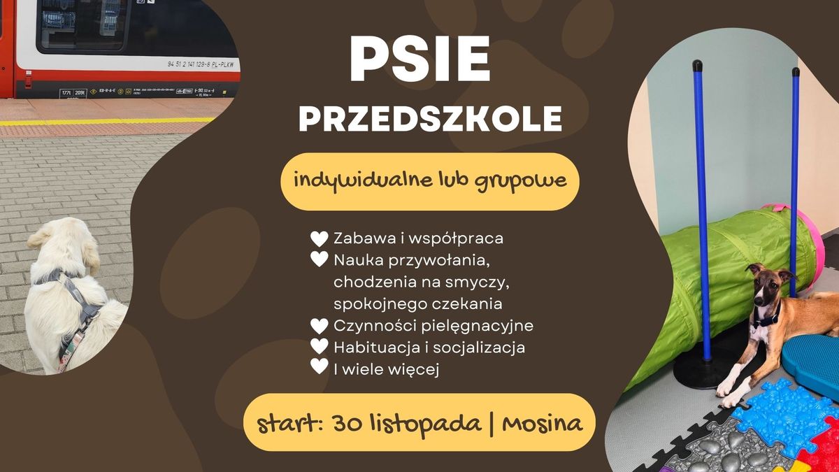 Psie przedszkole - kurs indywidualny lub grupowy | Mosina | start: 30 listopada