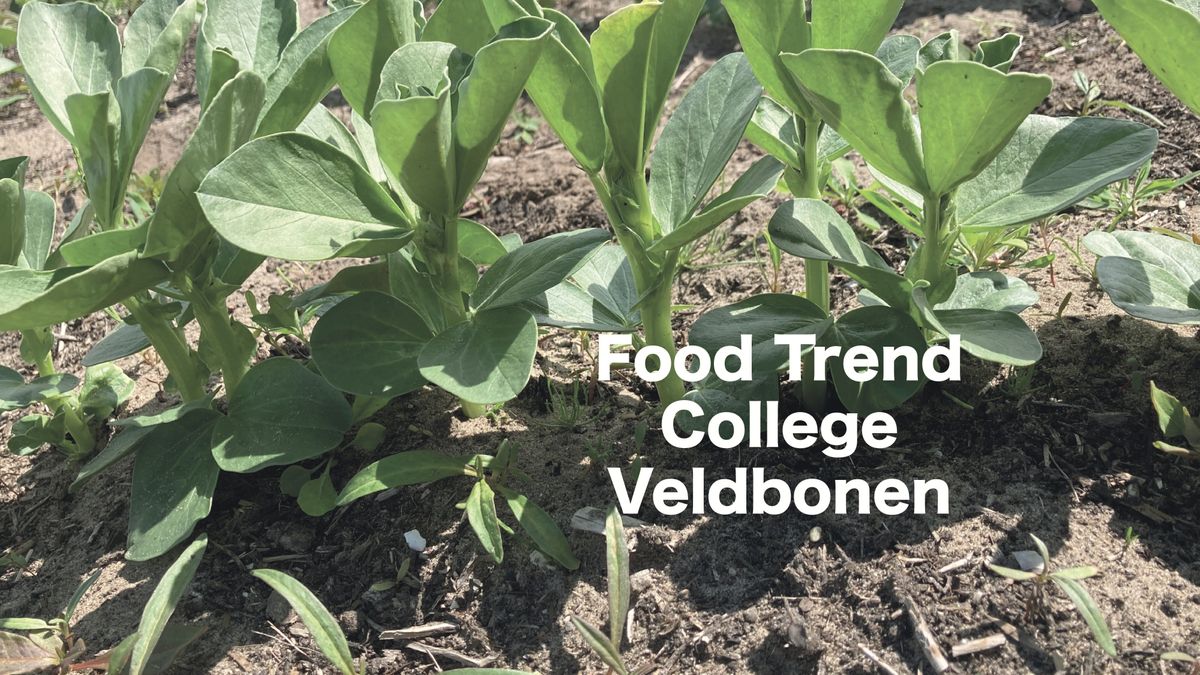 Food Trendcollege Veldbonen