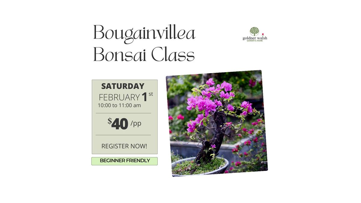 Bougainvillea Bonsai Class