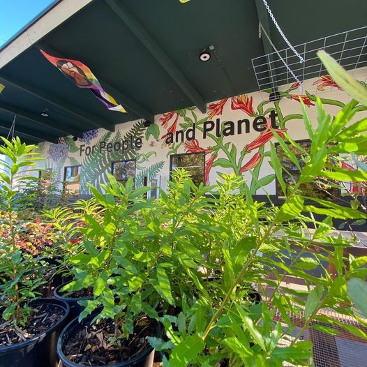 SymbiOp Ecological Garden Shop Opening