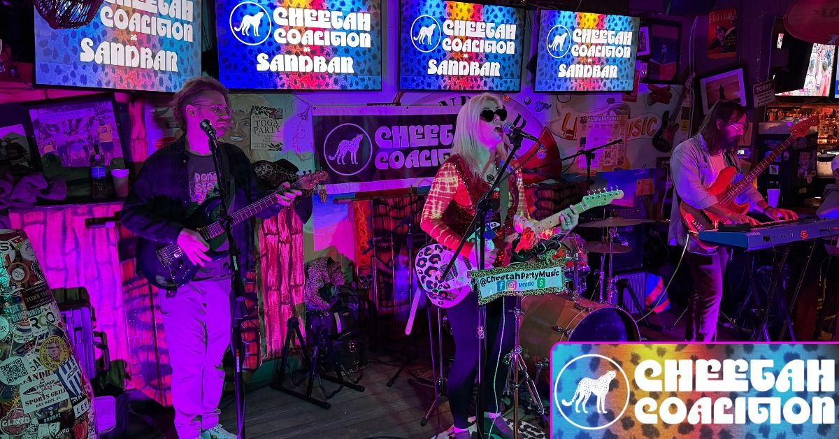 Cheetah Coalition Rocks Sandbar