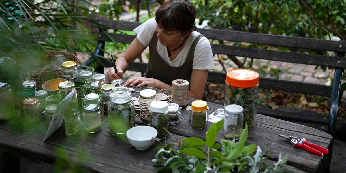 Home Harvest -  Bush tucker and bush foods in a habitat garden