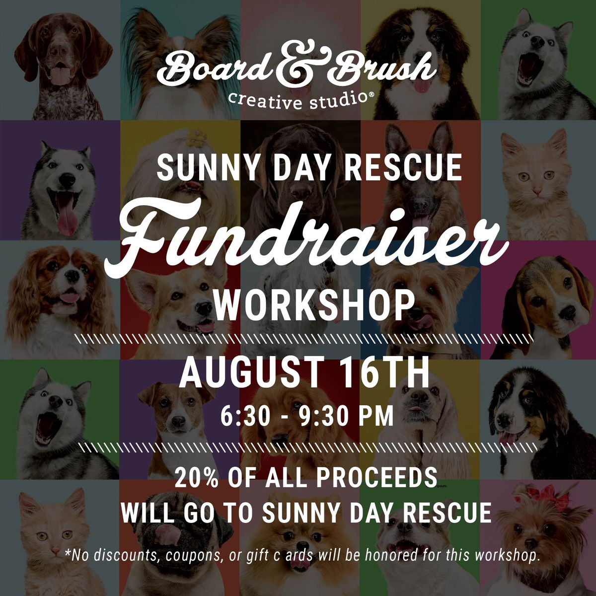 SUNNY DAY RESCUE FUNDRAISER PICK YOUR PROJECT WORKSHOP!